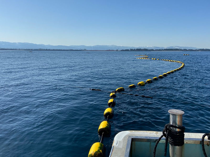 水中ドローン｜ドローン｜ROV｜水中ドローン映像｜富山湾｜定置網｜定置網点検｜定置網調査｜漁業｜海底｜深海｜深海映像｜海中映像｜海洋調査｜深海魚｜深海生物｜YouTube｜映像撮影｜映像制作｜動画制作｜トヤマベイラボ｜ユウアクアライフ｜