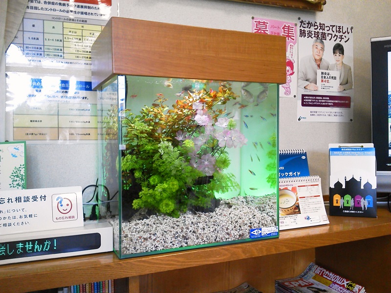 アクアリウム｜水槽メンテナンス｜富山｜石川｜熱帯魚｜水槽｜淡水魚水｜レンタルアクアリウム｜水槽メンテナンス｜ユウ・アクアライフ｜スタイルラボ｜内科｜クリニック