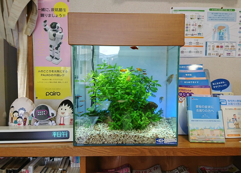 アクアリウム｜水槽メンテナンス｜富山｜石川｜熱帯魚｜水槽｜淡水魚｜内科｜クリニック｜ユウ・アクアライフ｜スタイルラボ