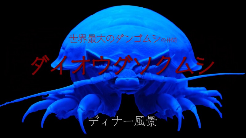 深海生物|ダイオウグソクムシ