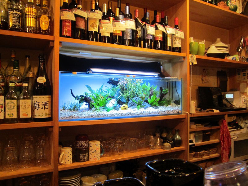 居酒屋｜飲食店｜熱帯魚｜熱帯魚水槽｜海水魚｜海水魚水槽｜アクアリウム｜マリンアクアリウム｜レンタル水槽｜水槽レンタル｜水槽｜水槽メンテナンス｜水槽設計｜水槽製作｜スタイルラボ｜ユウアクアライフ｜