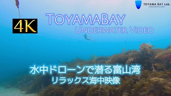 【海中映像】水中ドローンで潜る富山湾 リラックス４Ｋ映像　をYouTubeに公開しました