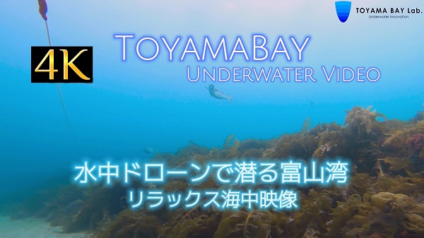 富山湾｜水中ドローン映像｜水中ドローン｜ROV｜ダイビング｜ダイビングスポット｜リラックス｜リラックス映像｜映像撮影｜映像制作｜動画制作｜トヤマベイラボ｜ユウアクアライフ｜