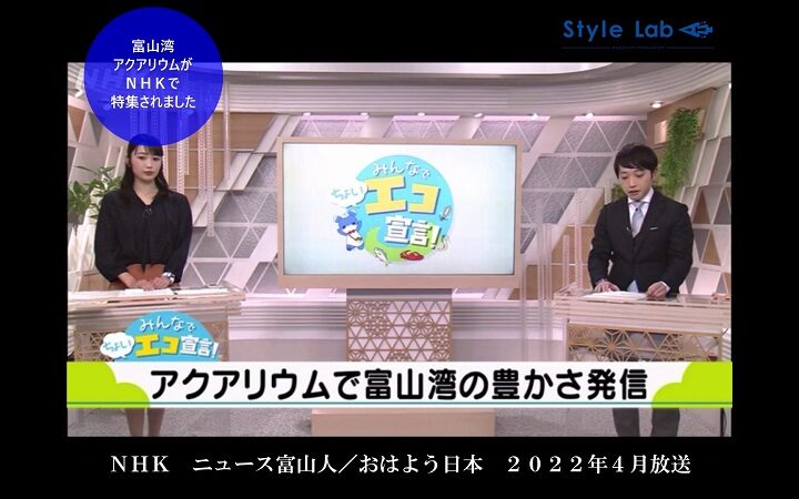 ｜NHK｜水橋漁民合同組合｜漁師｜漁業｜ファボーレ｜商業施設｜富山湾｜富山湾アクアリウム｜漁師｜定置網｜未利用魚｜海水魚｜海水魚水槽｜アクアリウム｜マリンアクアリウム｜水槽｜水槽メンテナンス｜水槽設計｜水槽製作｜スタイルラボ｜ユウアクアライフ｜