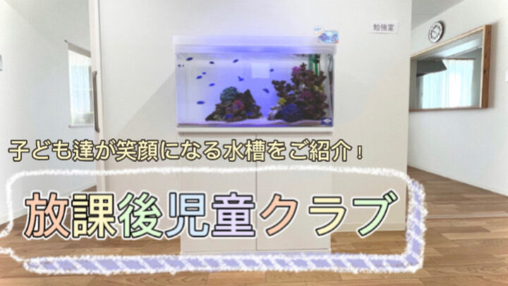 児童クラブ　水槽　海水魚水槽　マリンアクアリウム　レンタルアクアリウム