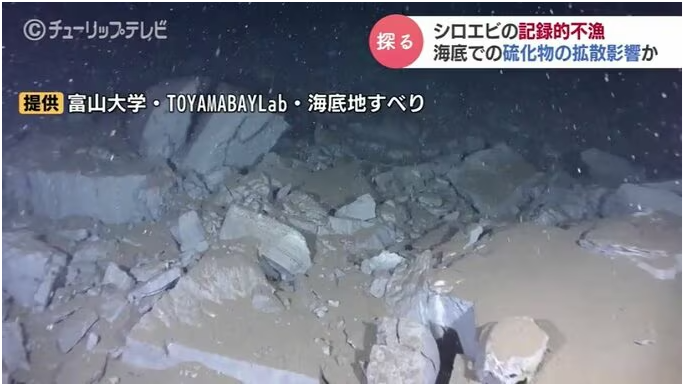 チューリップテレビNEWS DIGにて富山湾海底地すべりについて放送されました。