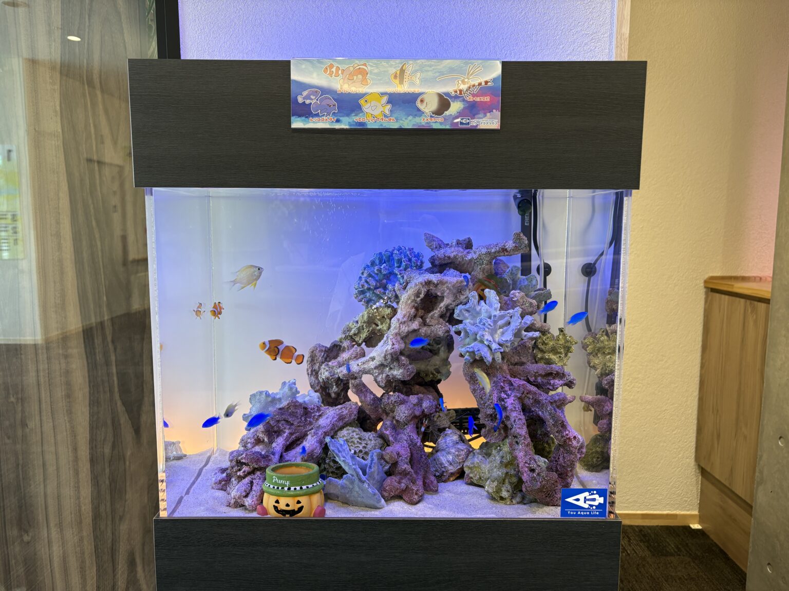 病院の設置事例