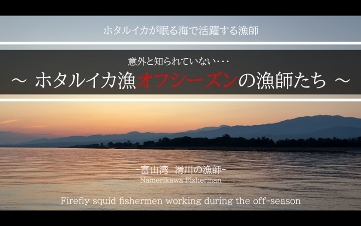 「ホタルイカが眠る海で活躍する漁師」YouTubeのアップしました。