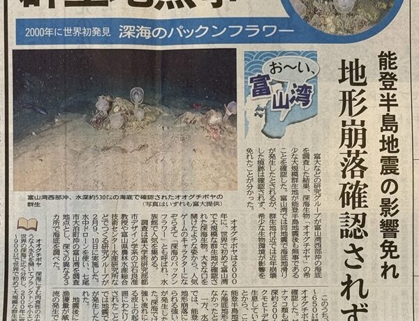 【新聞報道】富山湾西部の深海域での調査が富山新聞に掲載されました。