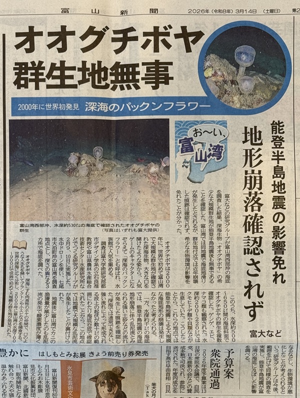 富山新聞報道20260316