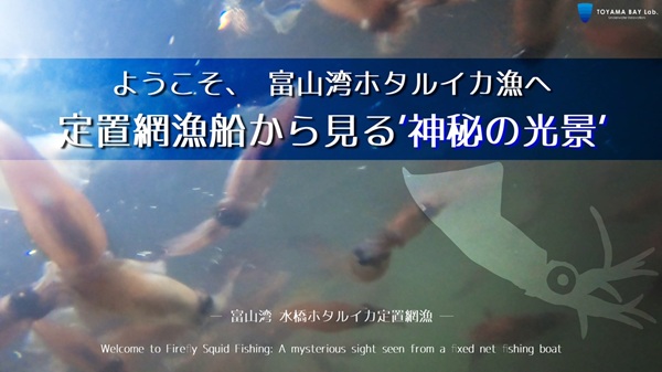 【YouTube】ようこそ、富山湾のホタルイカ漁へ 定置網漁船から見る神秘の光景をYouTubeにアップしました。