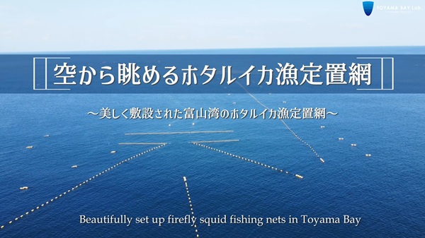 【YouTube】美しく敷設された富山湾のホタルイカ漁定置網を空から眺めるをYouTubeにアップしました。