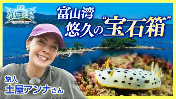 中部ネイチャーシリーズ富山湾悠久の宝石箱2